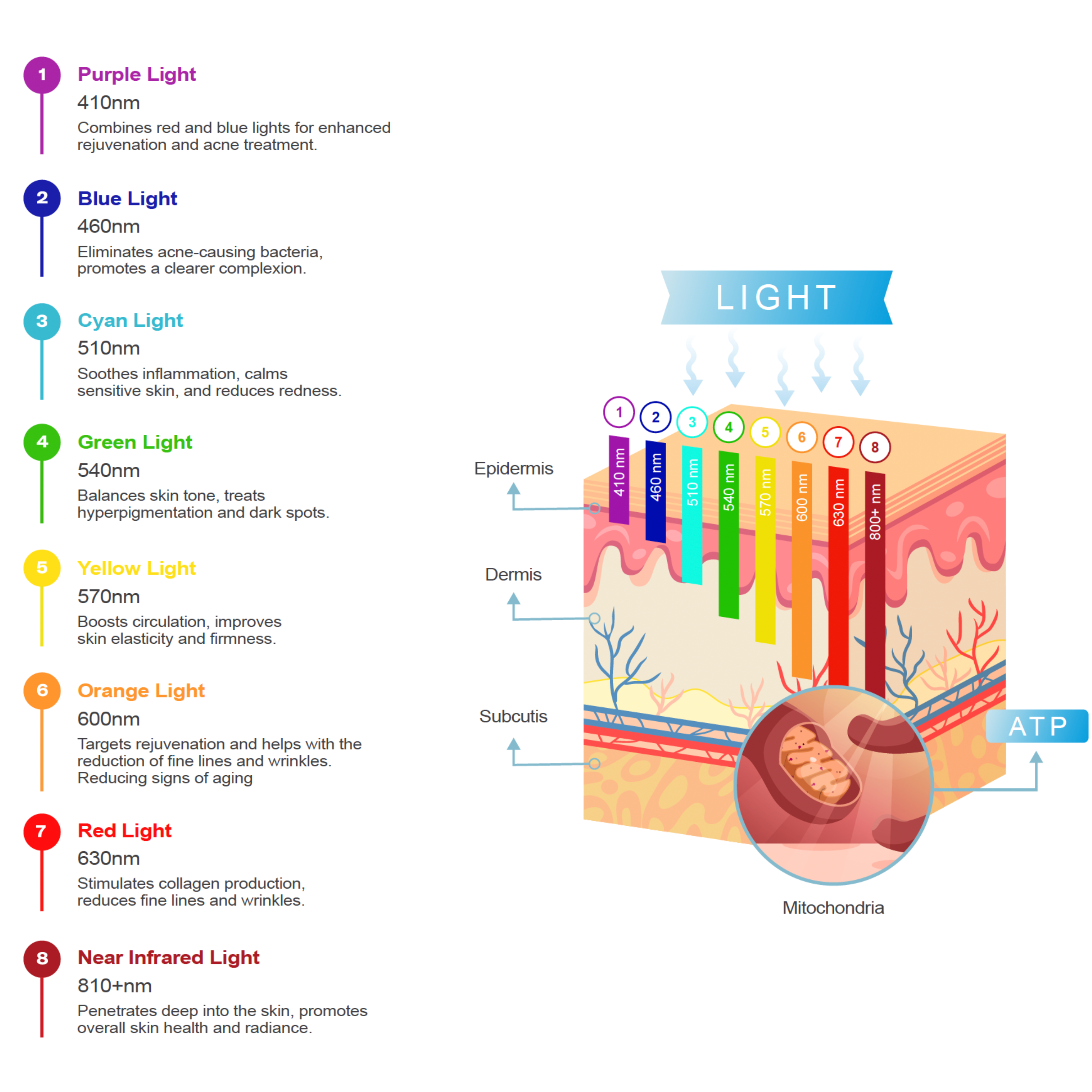 Body Recovery Bundle